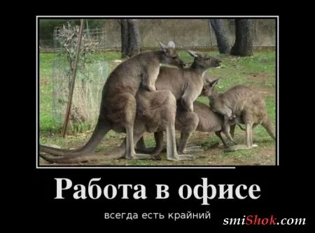 Демотиваторы это картинки в черных рамках для поднятия твоего настроения