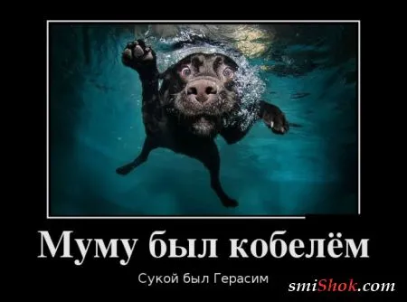Демотиваторы это картинки в черных рамках для поднятия твоего настроения