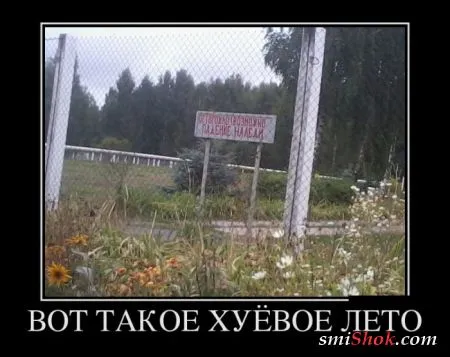 Демотиваторы это картинки в черных рамках для поднятия твоего настроения