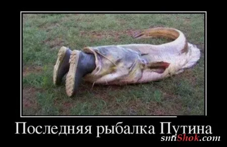 Демотиваторы это картинки в черных рамках для поднятия твоего настроения