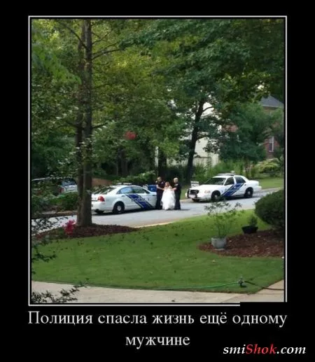 Демотиваторы это картинки в черных рамках для поднятия твоего настроения