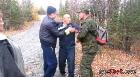 Грибы, такие грибы...