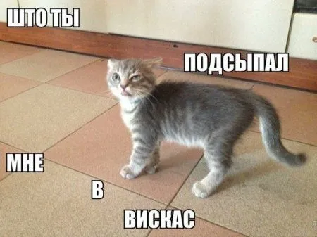 Шутки юмора