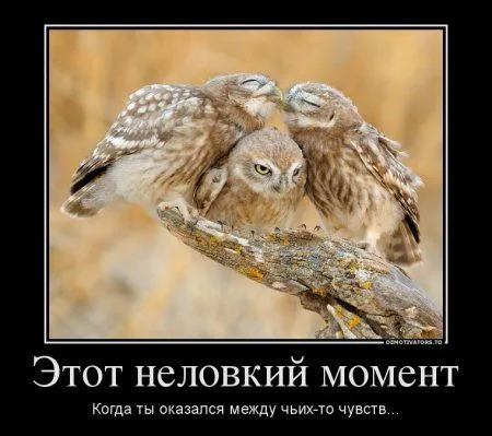 Демотиваторы прикольные как обычно
