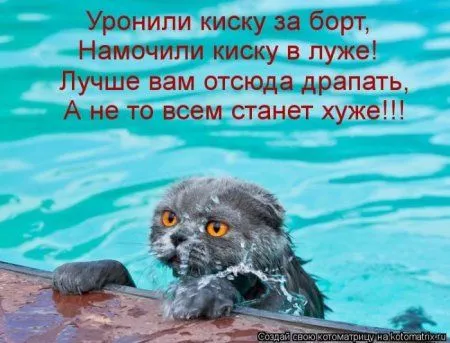 Пушистое очарование