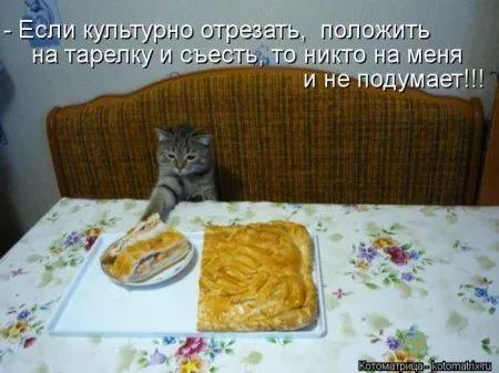 Пушистое очарование