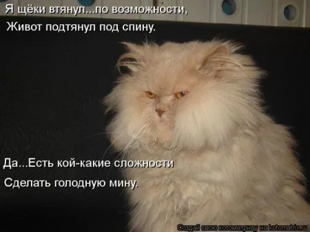 Пушистое очарование