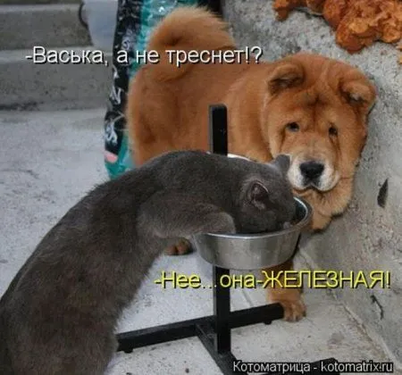 Пушистое очарование