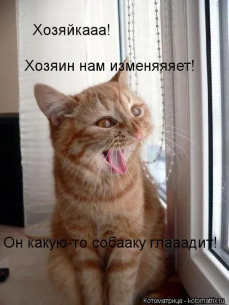 Пушистое очарование