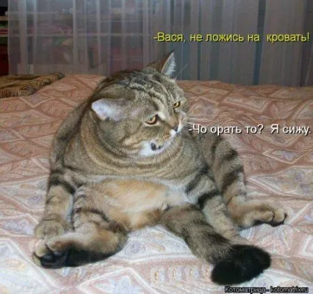 Пушистое очарование