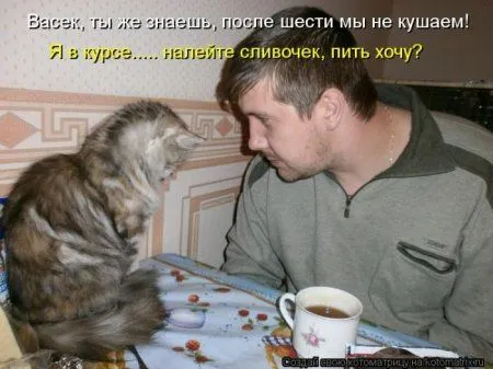 Пушистое очарование