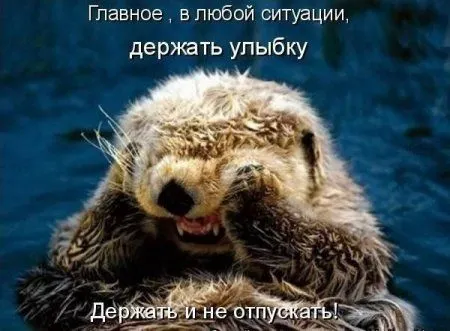 Приколы и приколихи