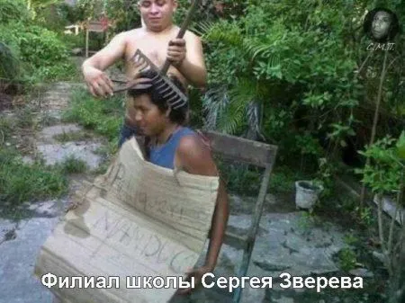 Приколы и приколихи