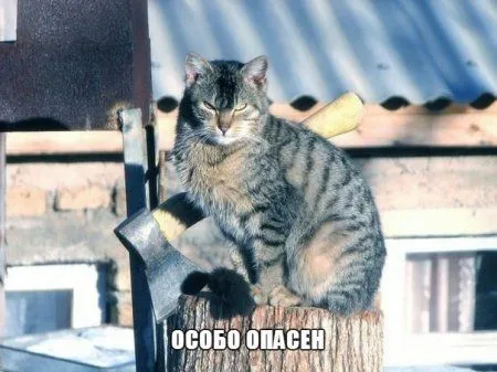Приколы и приколихи