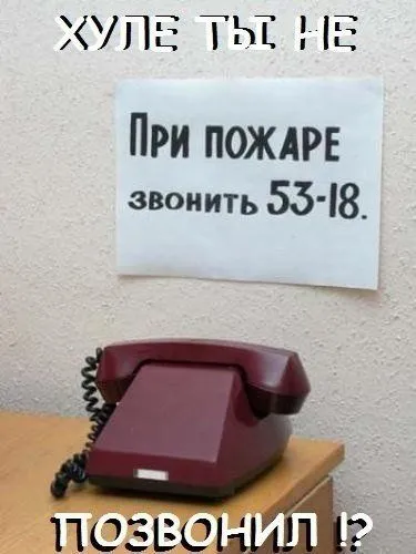 Приколы и приколихи