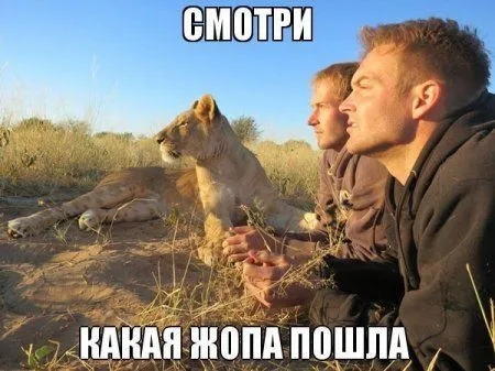 Приколы и приколихи