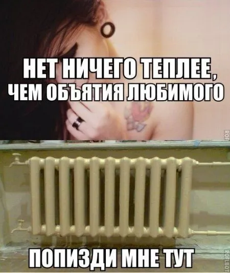 Прикольные фотографии, для всех кто с носом