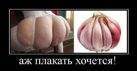 Картинки и приколы вне плохой погоды