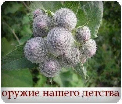 Картинки и приколы вне плохой погоды