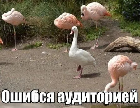 Немного приколов
