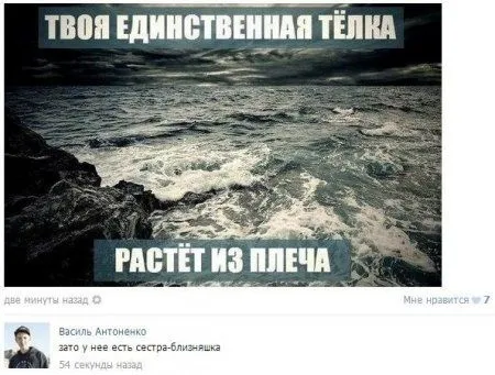 Смотри прикольные картинки и отдыхай