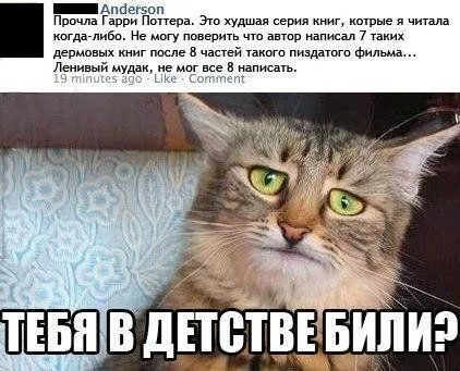 Смотри прикольные картинки и отдыхай