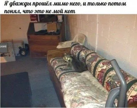 Смотри прикольные картинки и отдыхай
