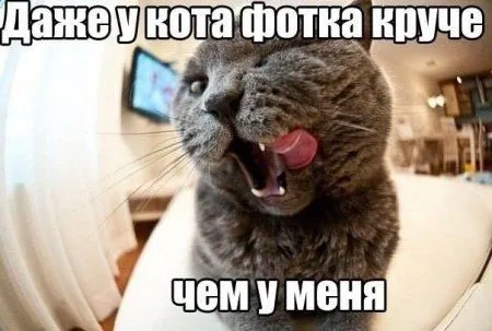 Смотри прикольные картинки и отдыхай