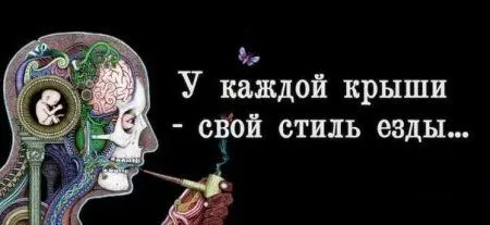Смотри прикольные картинки и отдыхай