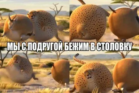 Смотри прикольные картинки и отдыхай
