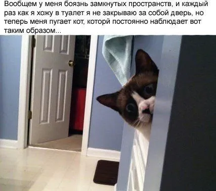 Смотри прикольные картинки и отдыхай