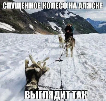 Позитивный винегрет в подборке фото приколов Позитивный винегрет в подборке фото приколов