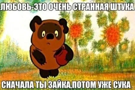 Позитивный винегрет в подборке фото приколов