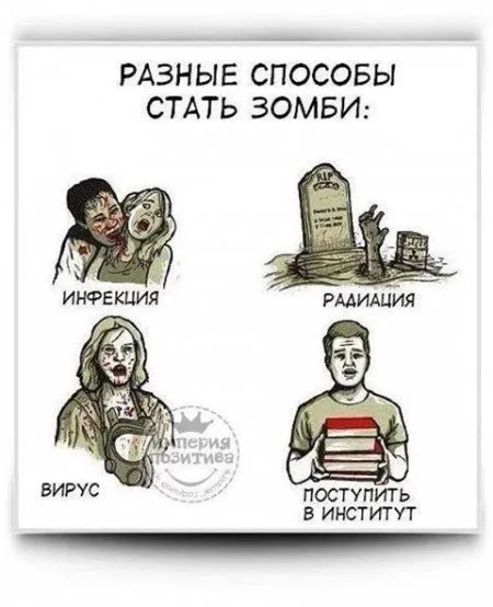 Позитивный винегрет в подборке фото приколов Позитивный винегрет в подборке фото приколов