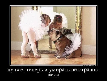 Наши демотиваторы. Выходные!