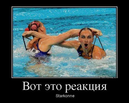 Наши демотиваторы. Выходные!
