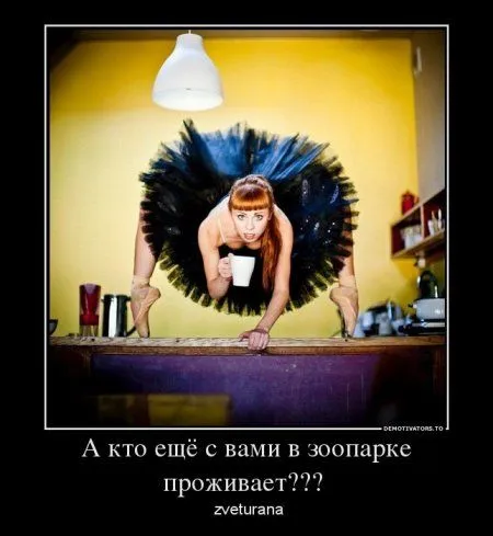 Наши демотиваторы. Выходные!