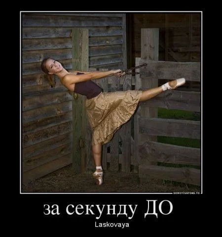 Наши демотиваторы. Выходные!