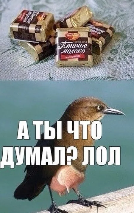 Ассорти приколов на вечер Ассорти приколов на вечер