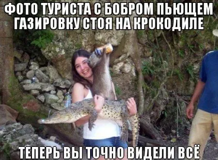 Ассорти приколов на вечер Ассорти приколов на вечер