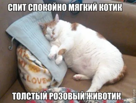 Ассорти приколов на вечер Ассорти приколов на вечер