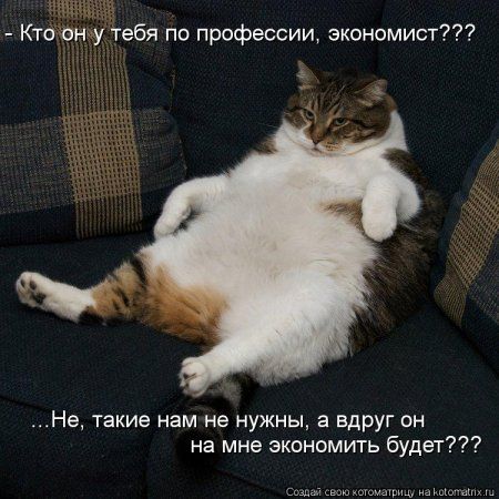 Котоматрицы свежие развеселые