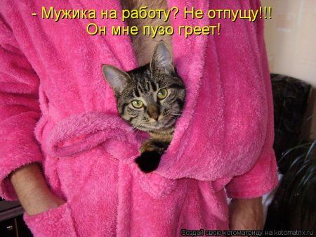 Котоматрицы свежие развеселые