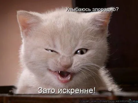 Котоматрицы свежие развеселые