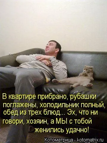 Котоматрицы свежие развеселые