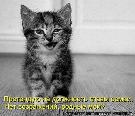 Котоматрицы свежие развеселые