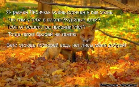 Котоматрицы свежие развеселые