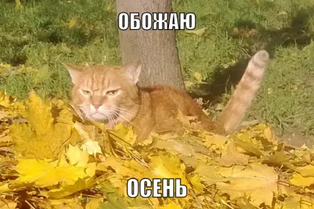 Ух ты, опять прикольные картинки Ух ты, опять прикольные картинки