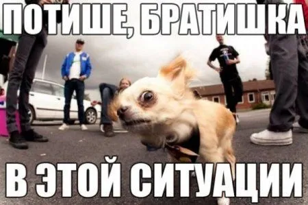 Подборка прикольных приколов