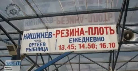 Порция настроения в подборе веселых картинок Порция настроения в подборе веселых картинок